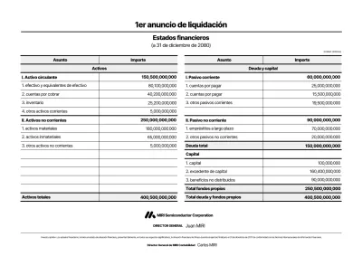 Declaración de información financiera básica negra