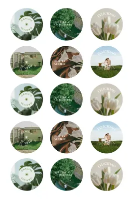 Artículos adhesivos sencillos de color beige