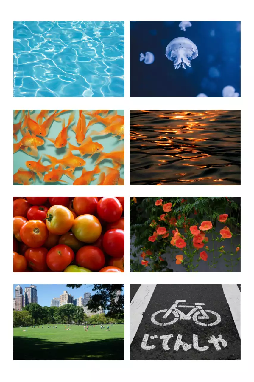 Adesivos coloridos da natureza