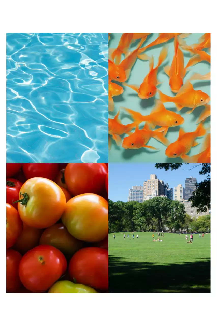 Orange Natural Summer Postcard