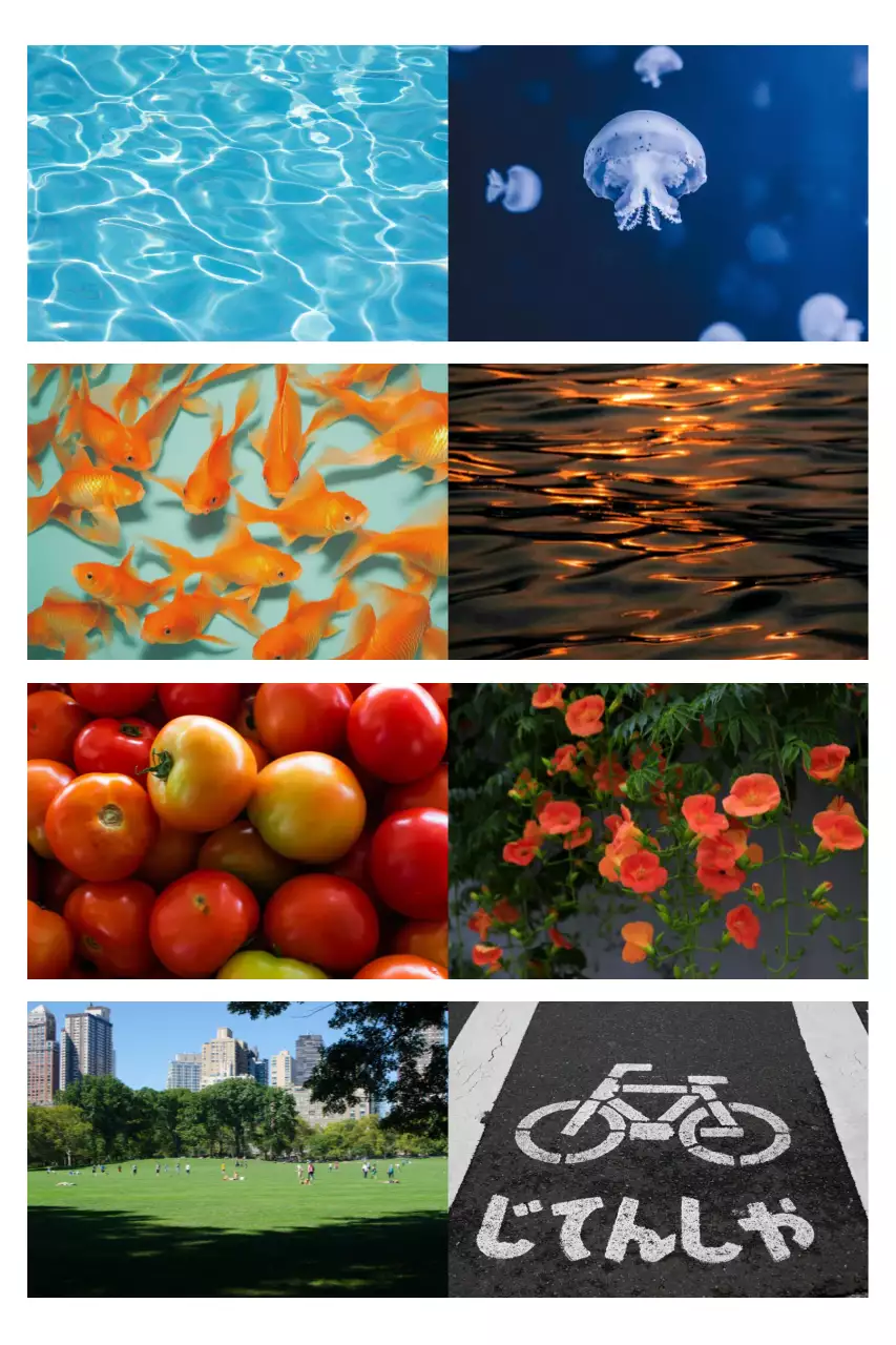 Oranje natuur zomer foto stickers