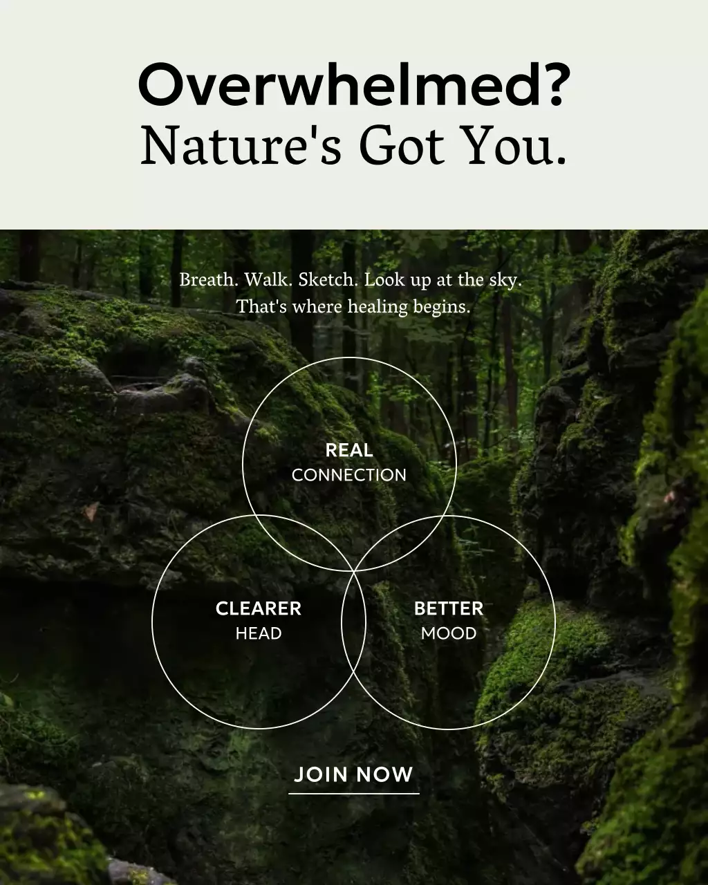 Green Rustic Wellness Promotion