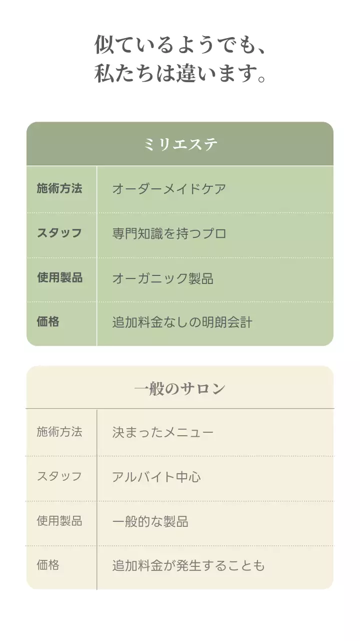 緑 上品 スキンケア チラシ