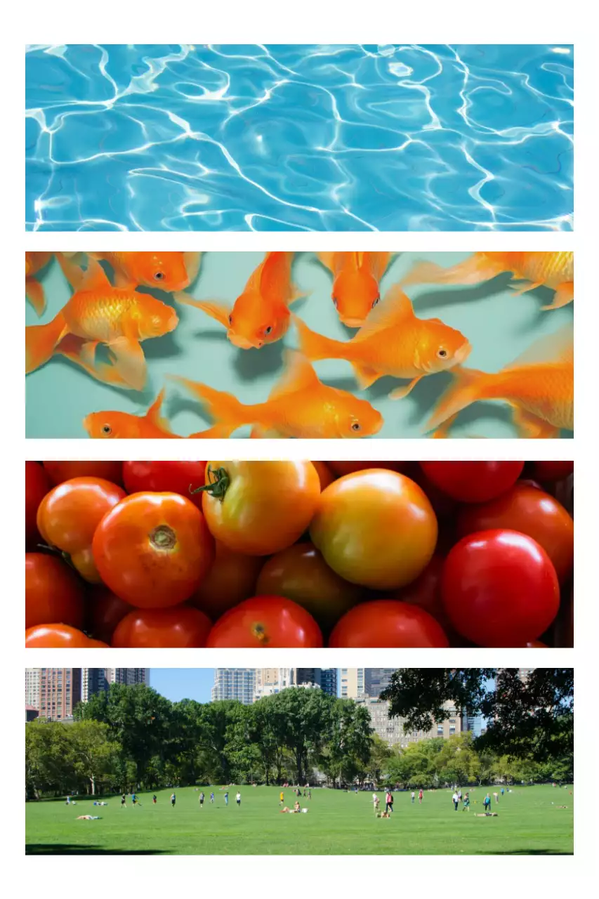 Tentoonstelling Oranje Eenvoudige Natuur