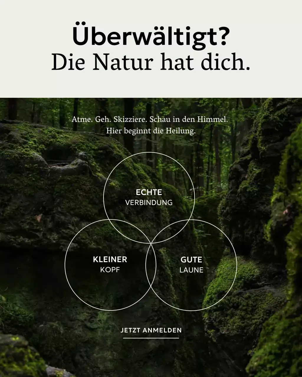 Green Rustic Wellness-Aktion