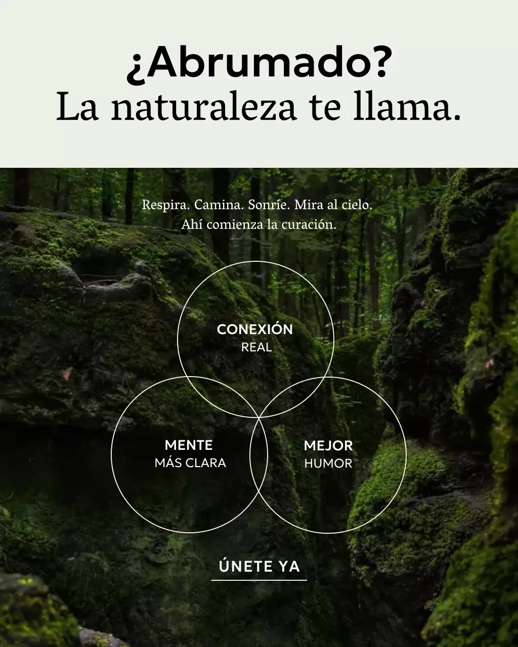 Promoción de Bienestar Rústico Verde