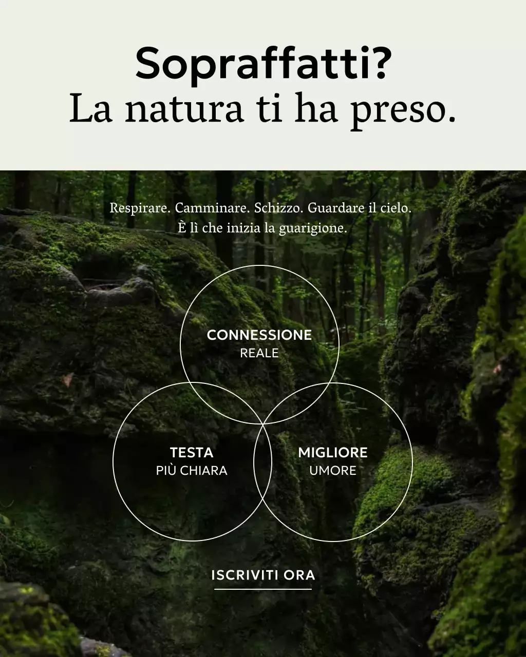 Promozione Benessere Rustico Verde