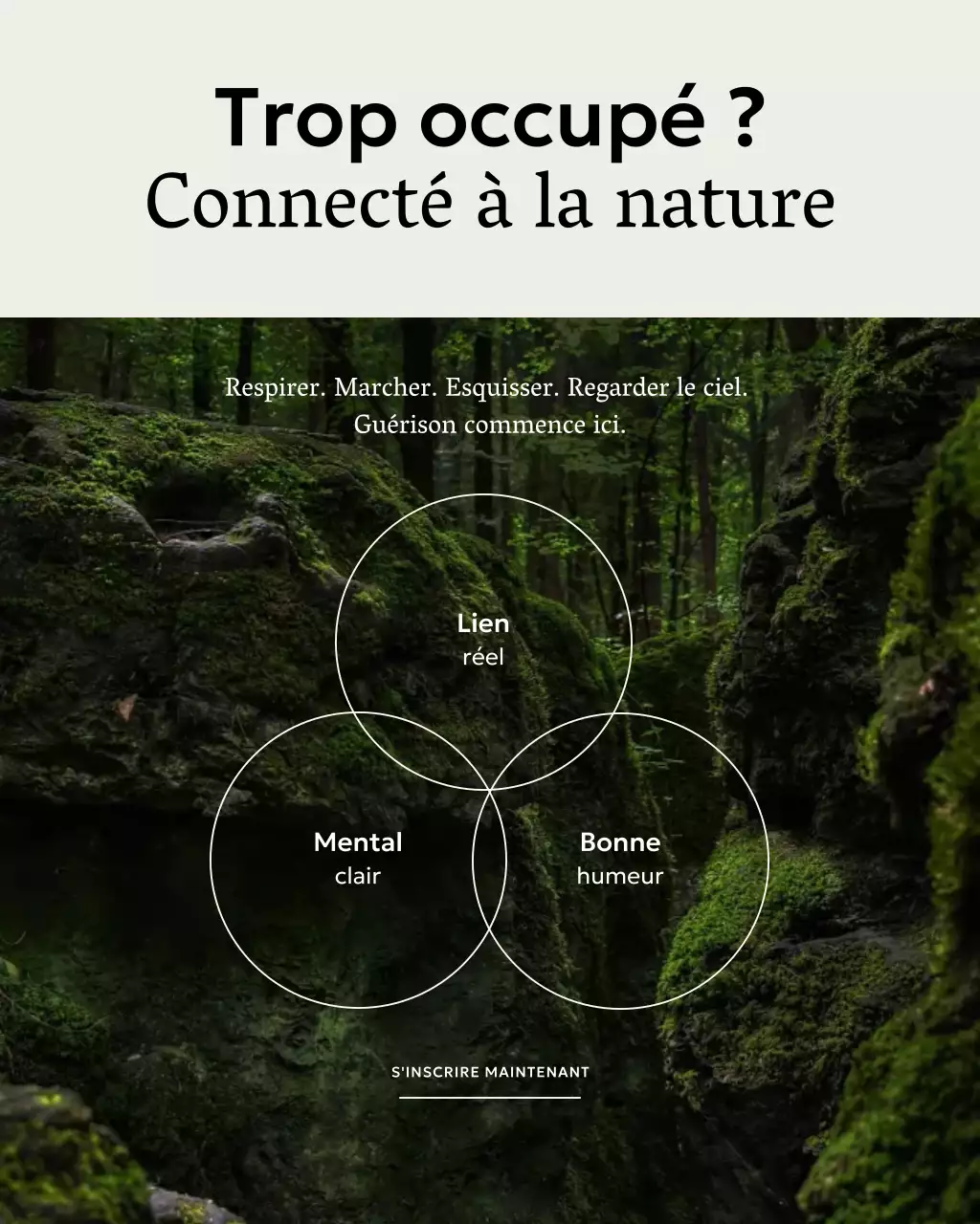 Promotion bien-être rustique et verte