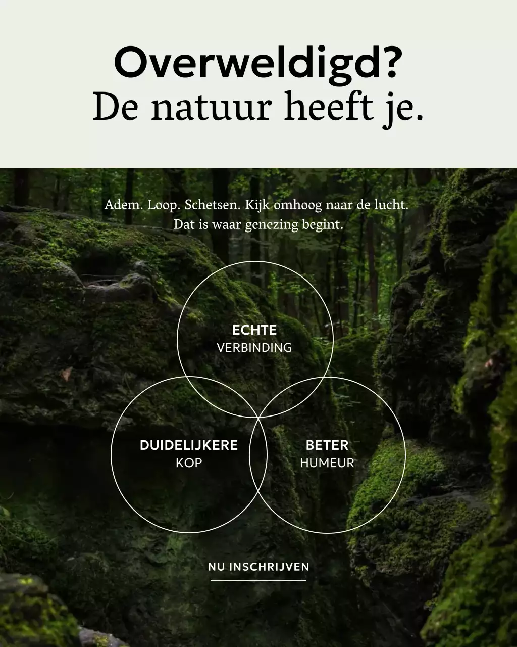 Groene Rustieke Wellness Promotie