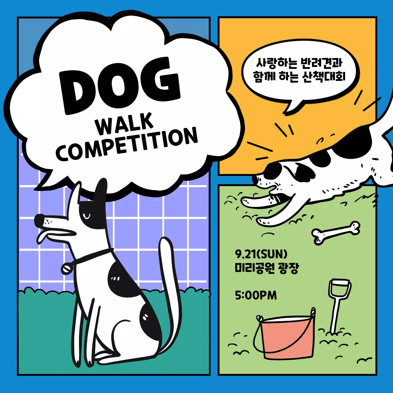 파랑 팝 반려동물 행사