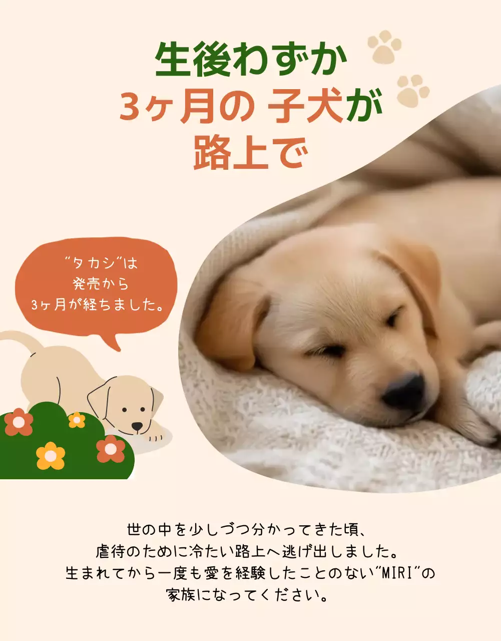 緑 かわいい 動物 ポスター