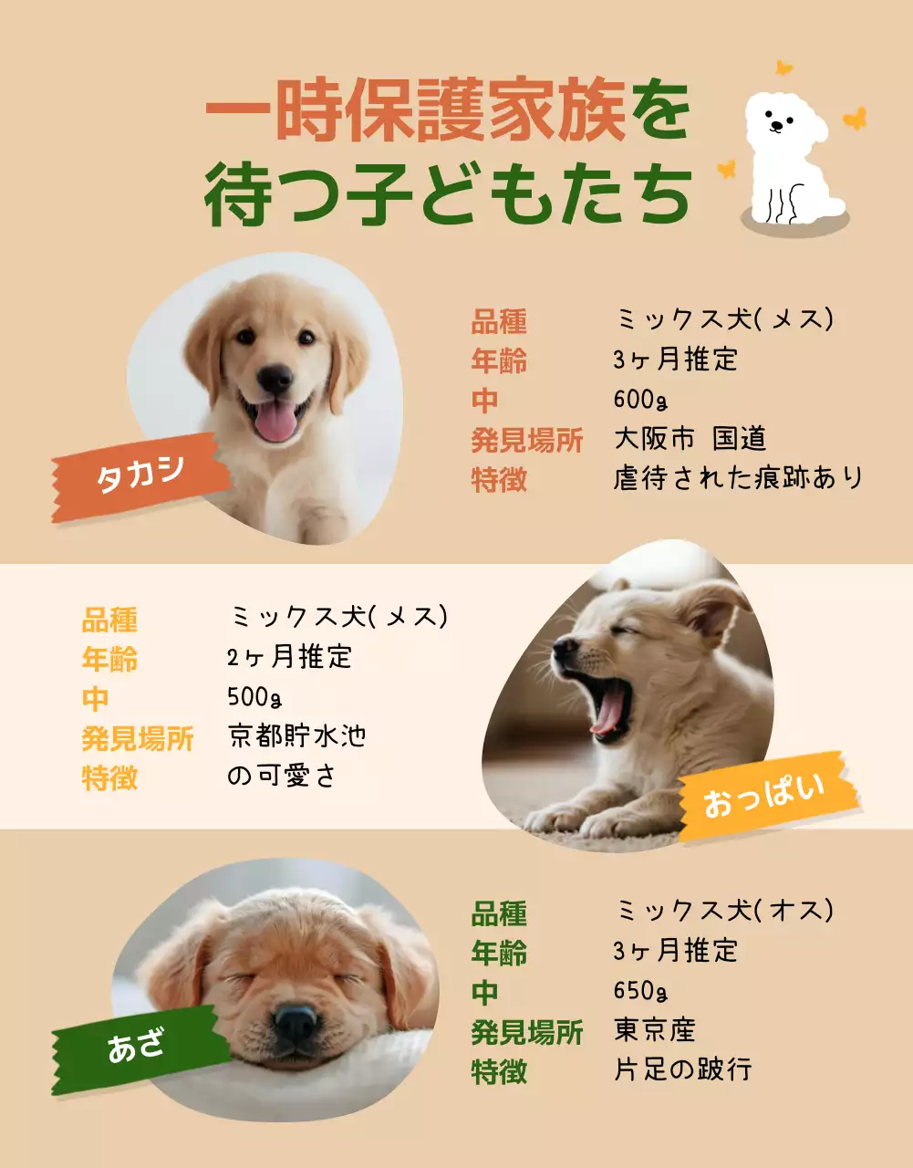 緑 かわいい 動物 ポスター