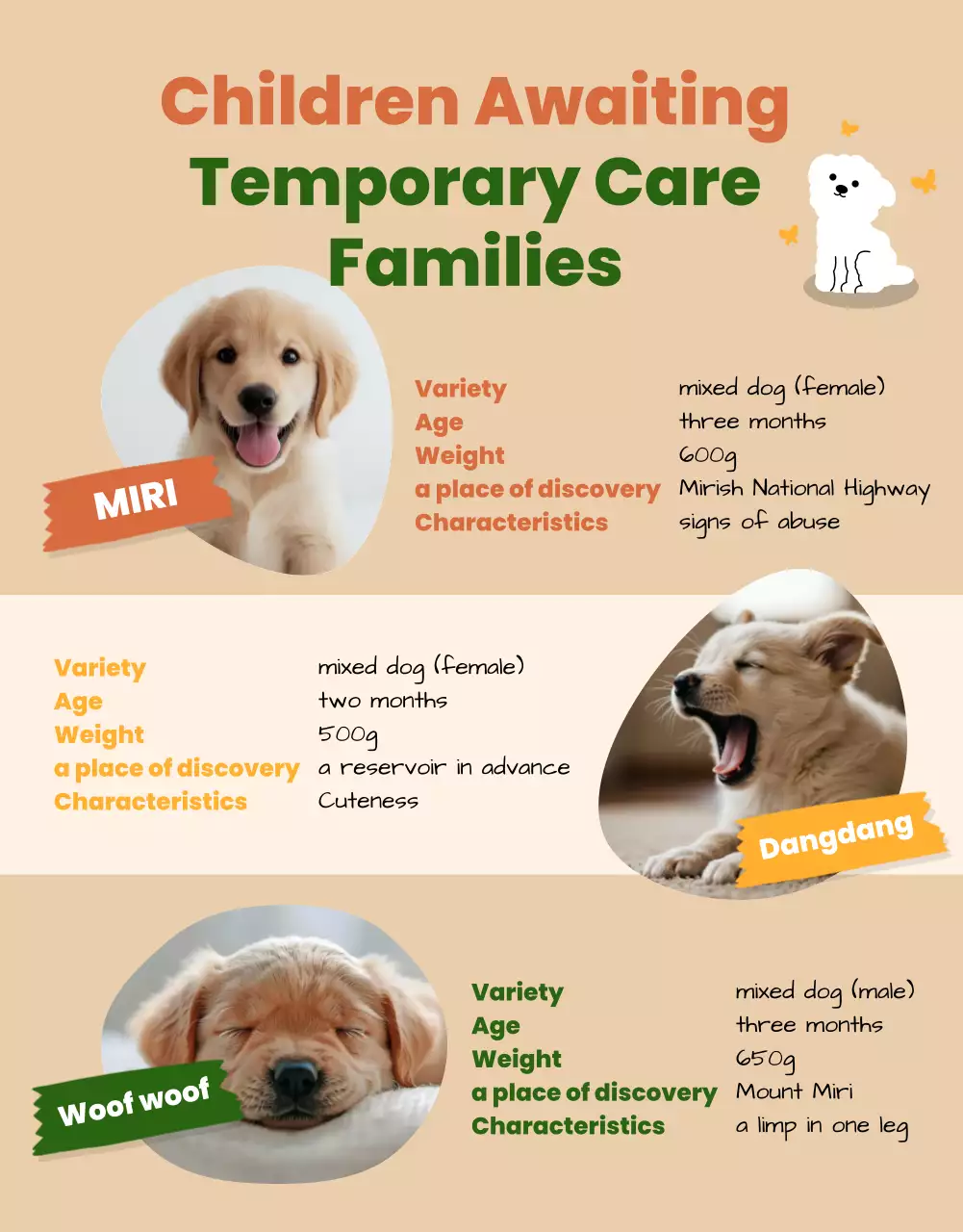 beige playful animal adoption promotion