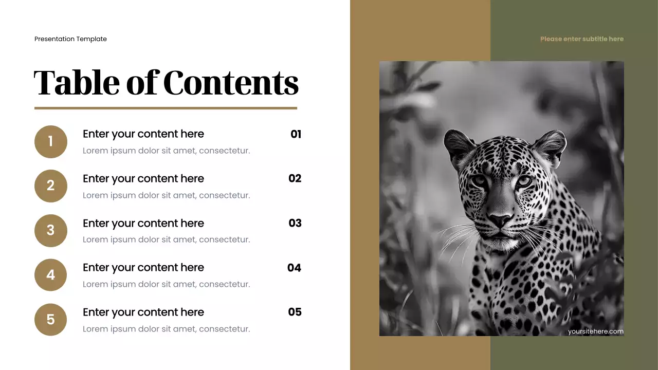 brown minimalist animal presentation