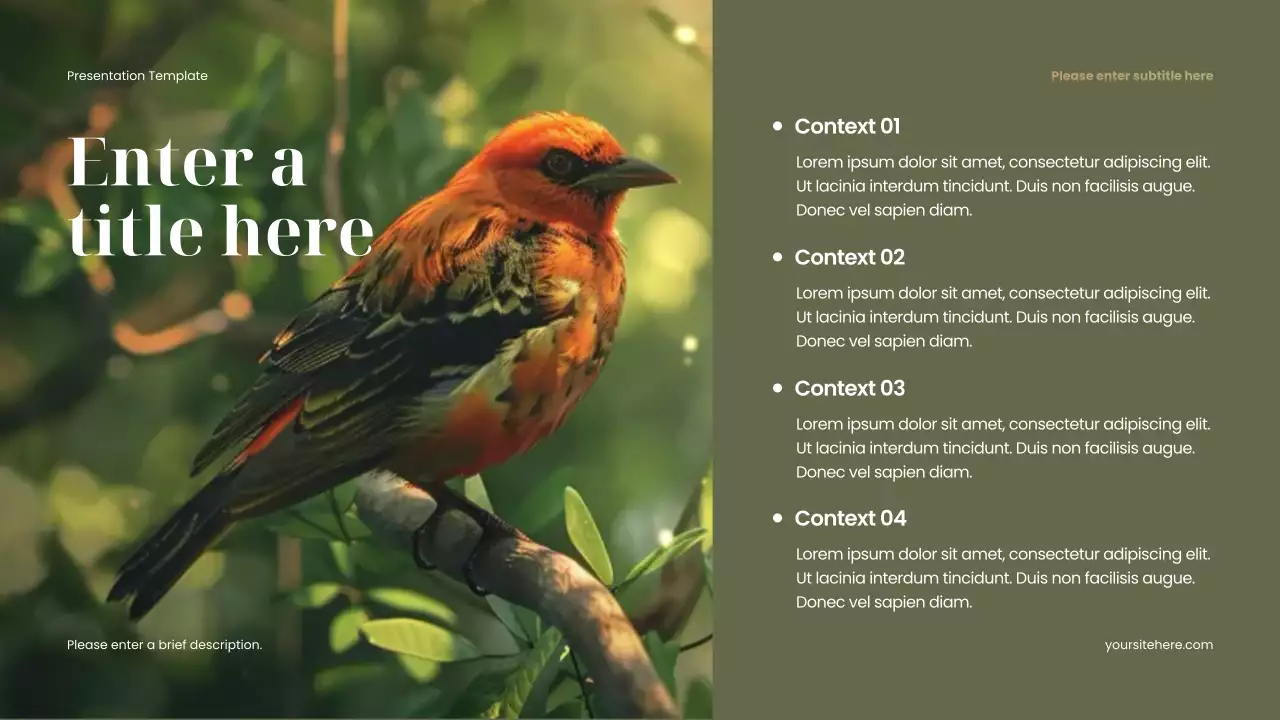 brown minimalist animal presentation