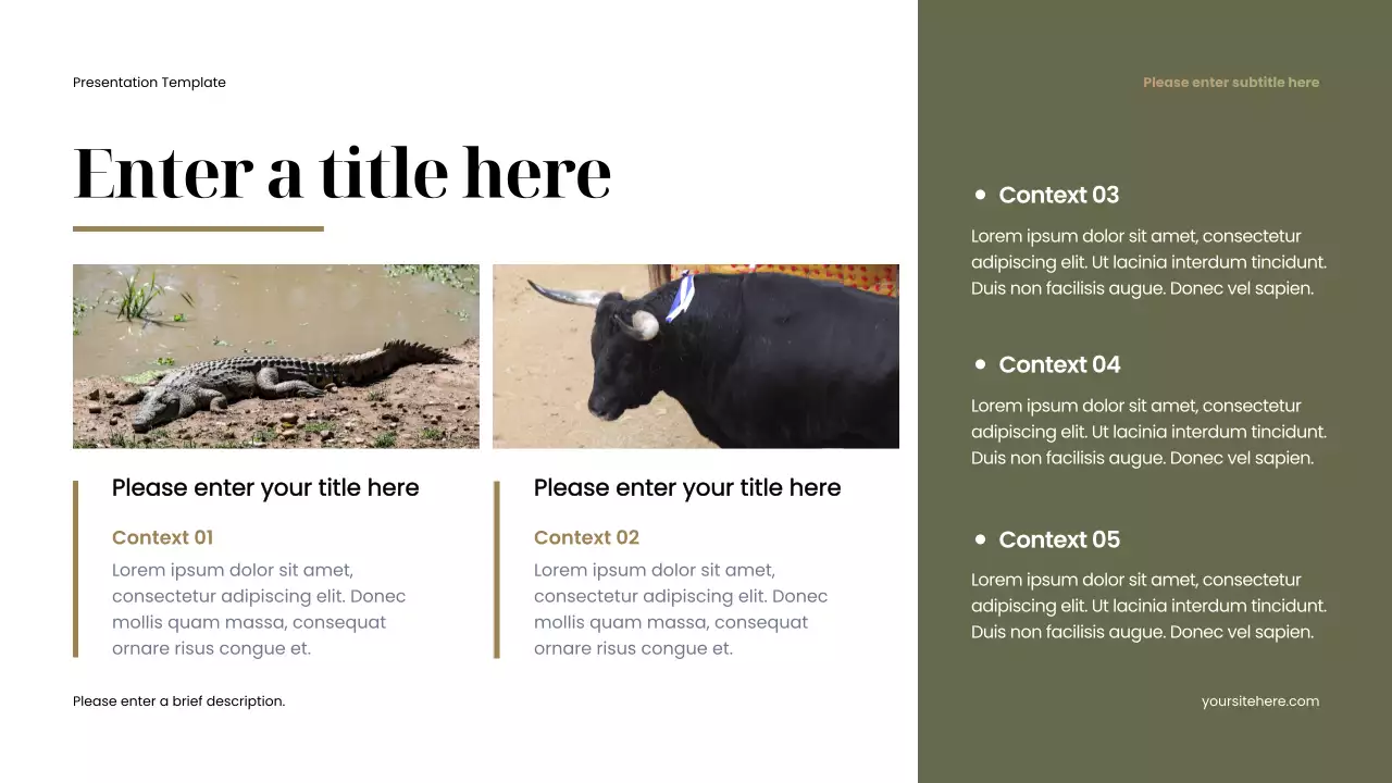 brown minimalist animal presentation