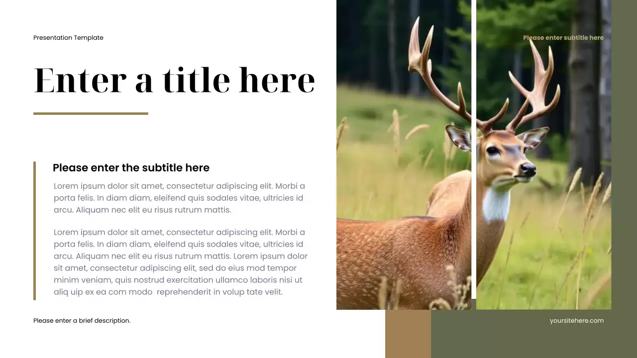 brown minimalist animal presentation