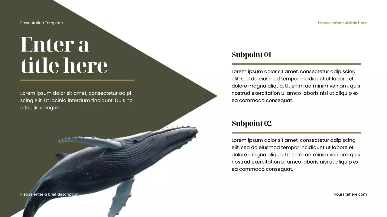 brown minimalist animal presentation