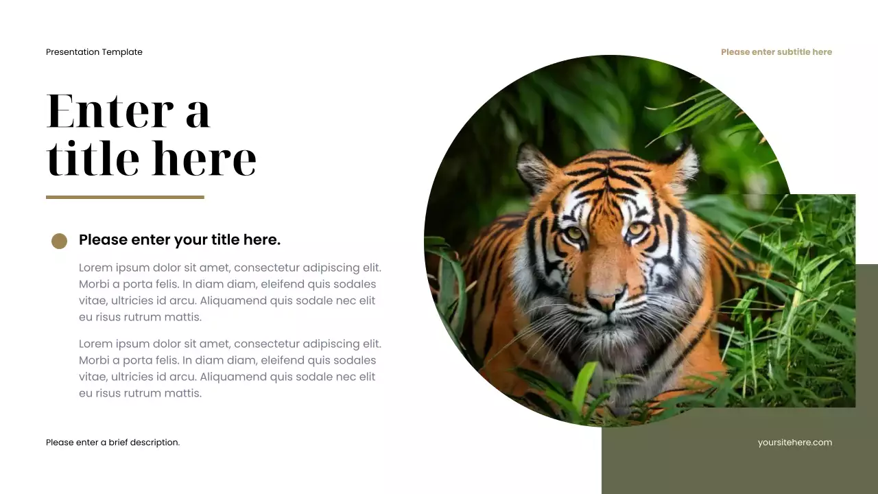 brown minimalist animal presentation