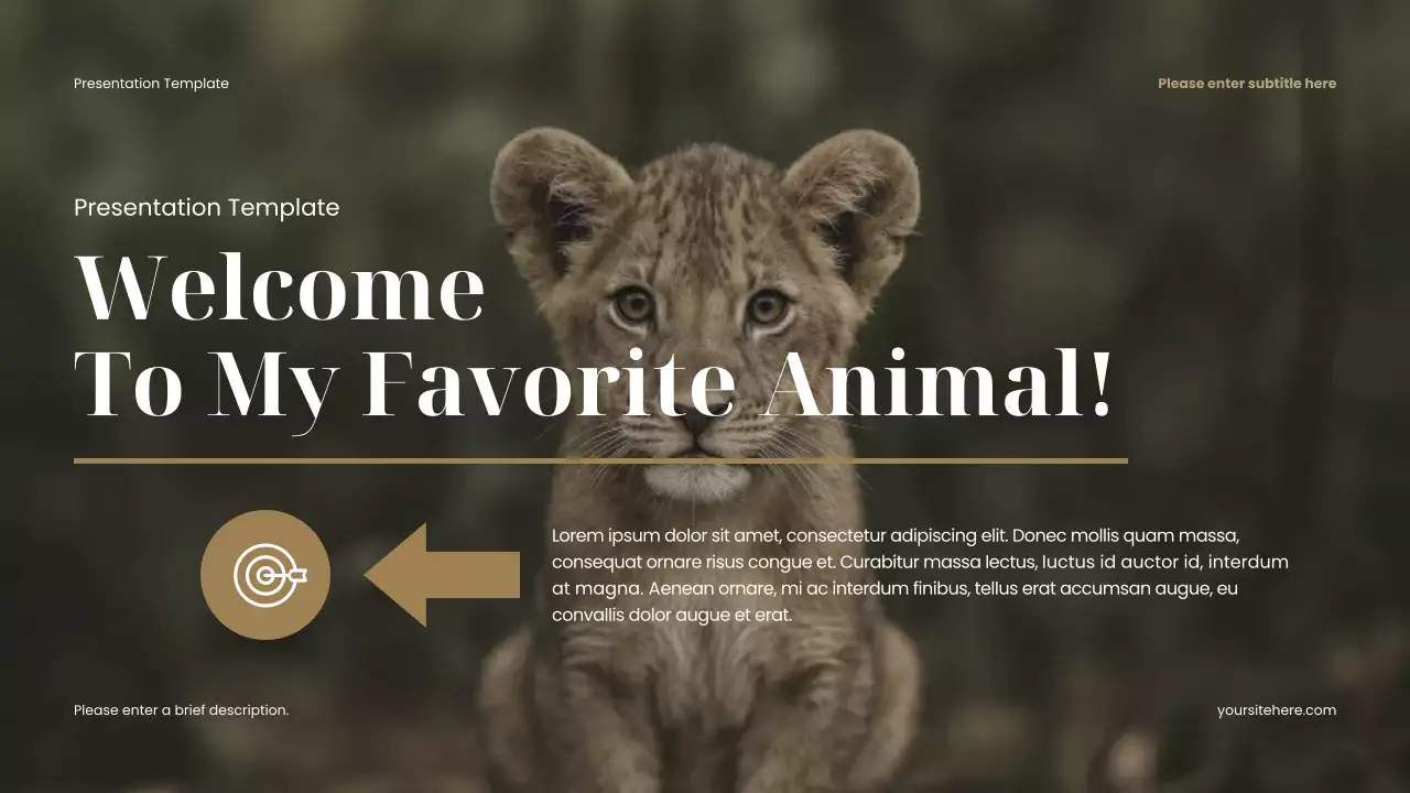 brown minimalist animal presentation