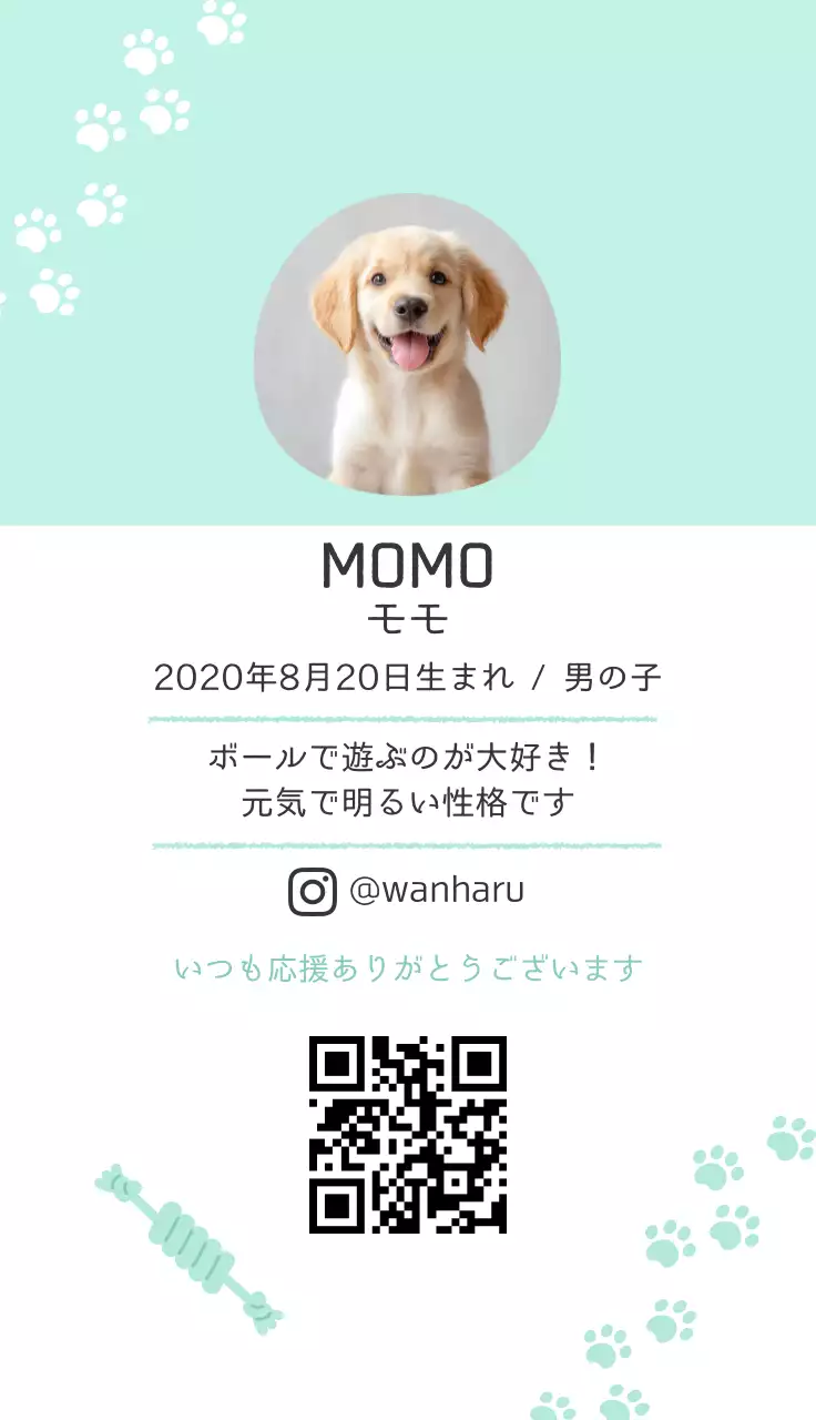 ミント かわいい ペット 名刺 動物の写真