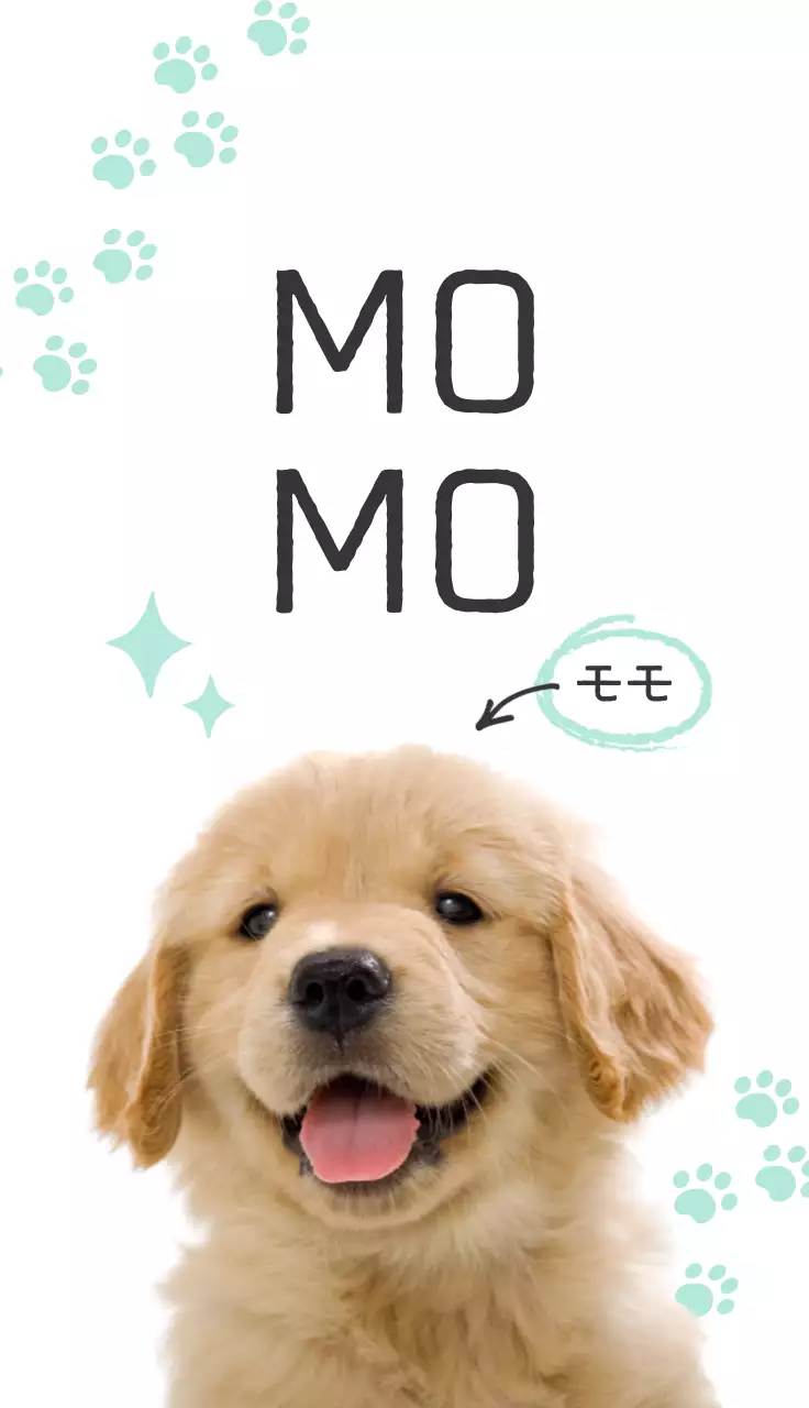 ミント かわいい ペット 名刺 動物の写真