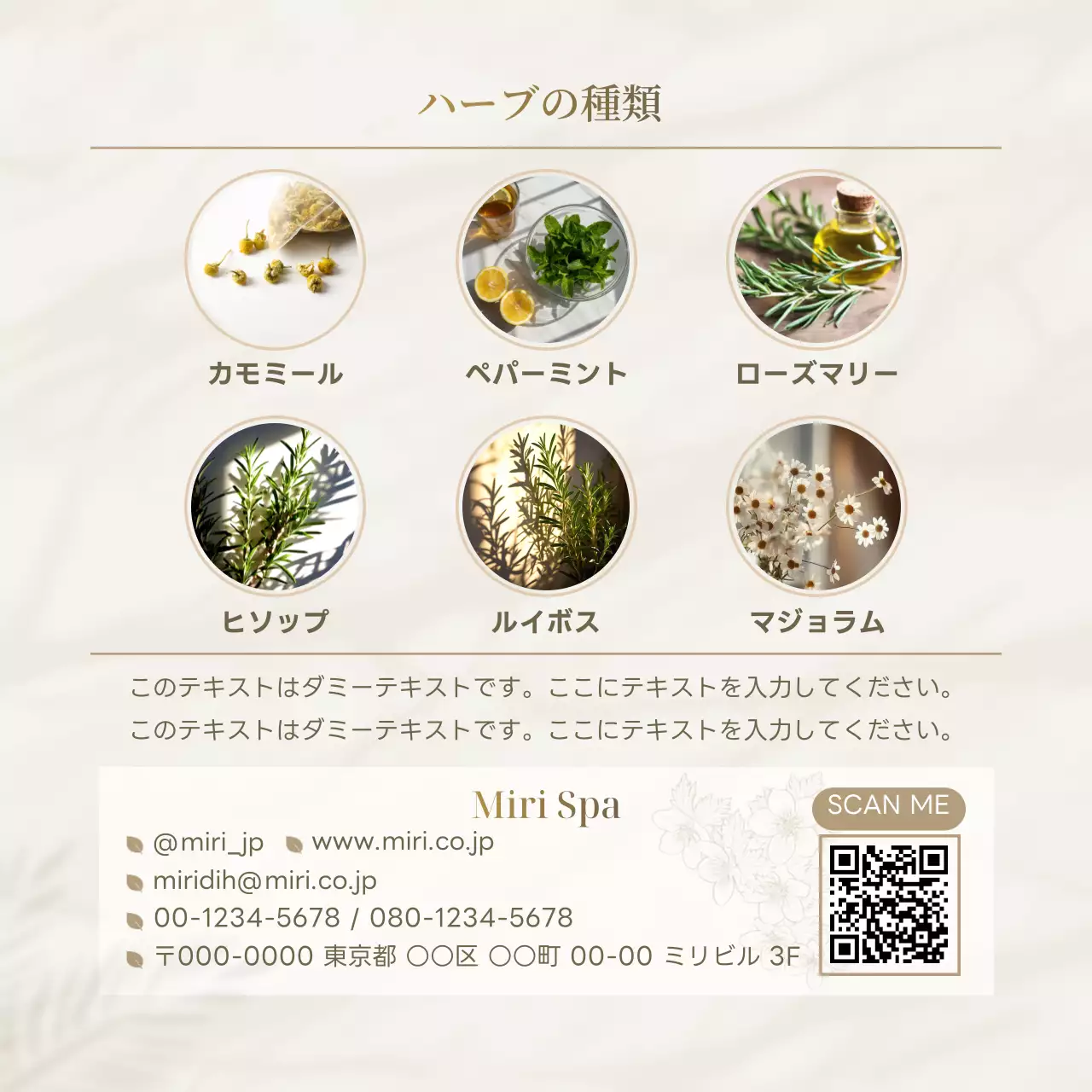 ベージュ 洗練 商品紹介上品