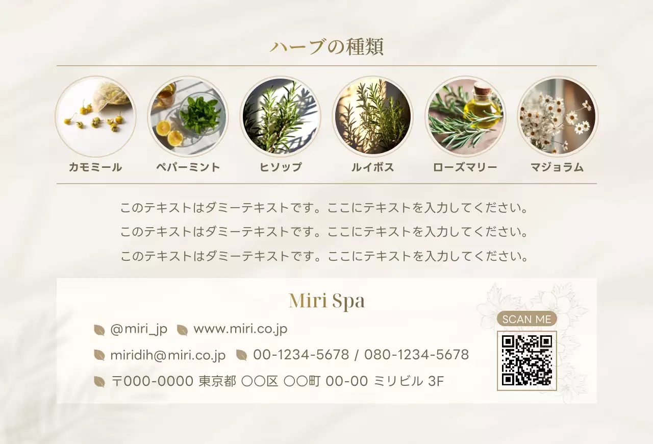 ベージュ 洗練 商品紹介上品