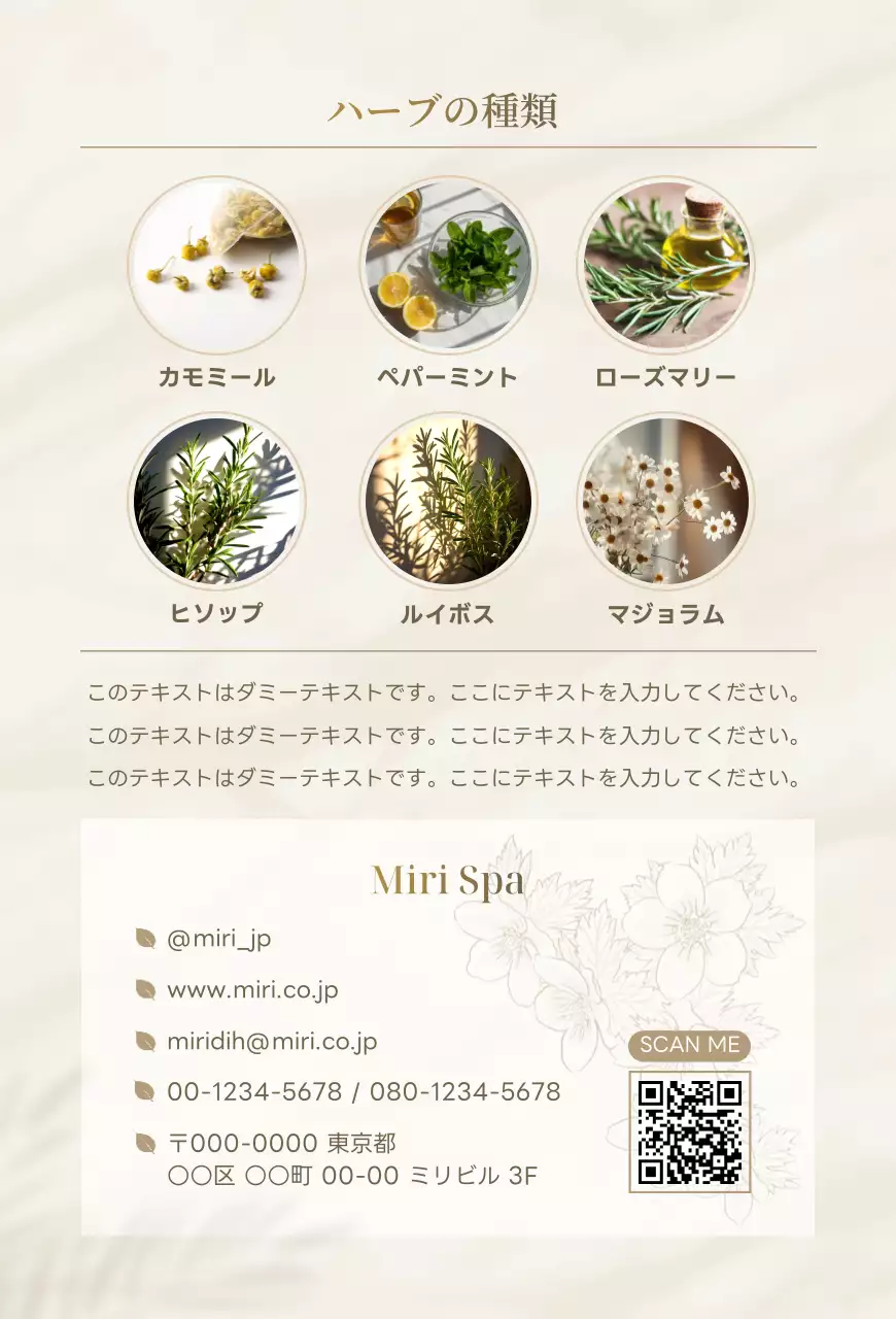 ベージュ 洗練 商品紹介上品