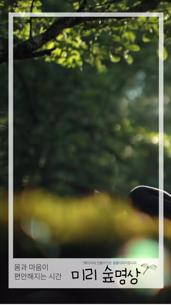 초록 자연 숲 명상 안내