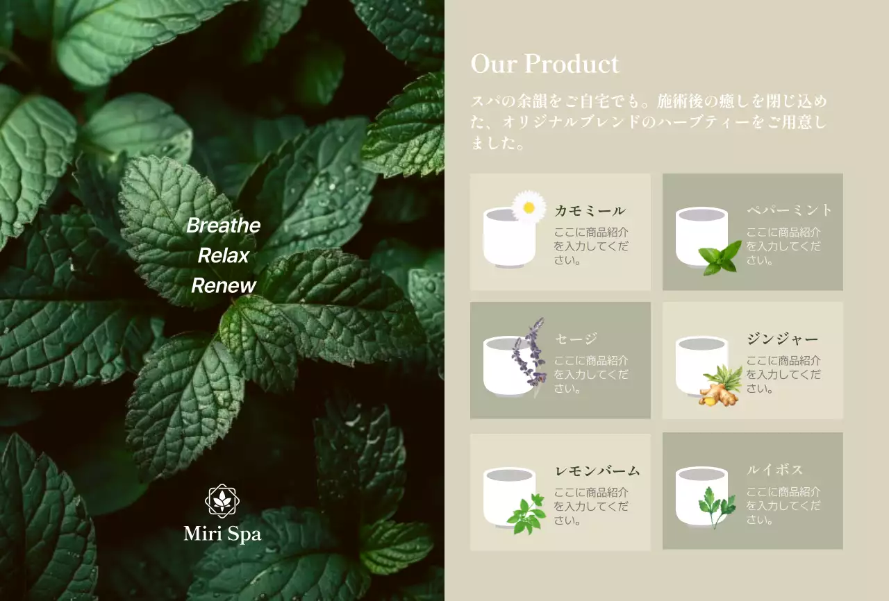 茶色 モダン スパ パンフレット 商品紹介上品