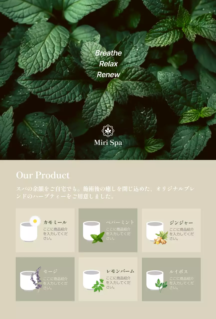 緑 オシャレ スパ カード 商品紹介上品