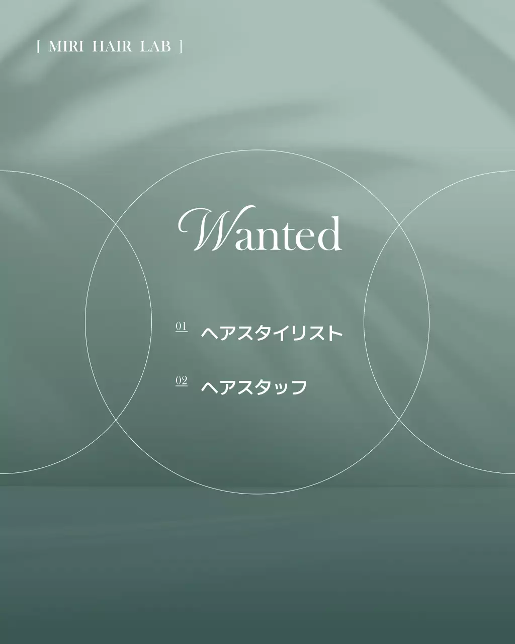 ミント 洗練された 美容 プラン