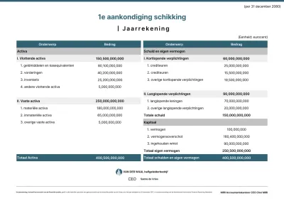 Blue Clean Financiële Rapport Informatielevering