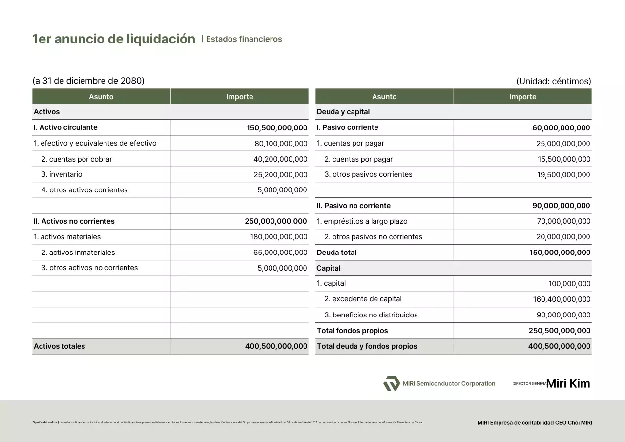 Explicación de los estados financieros básicos verdes