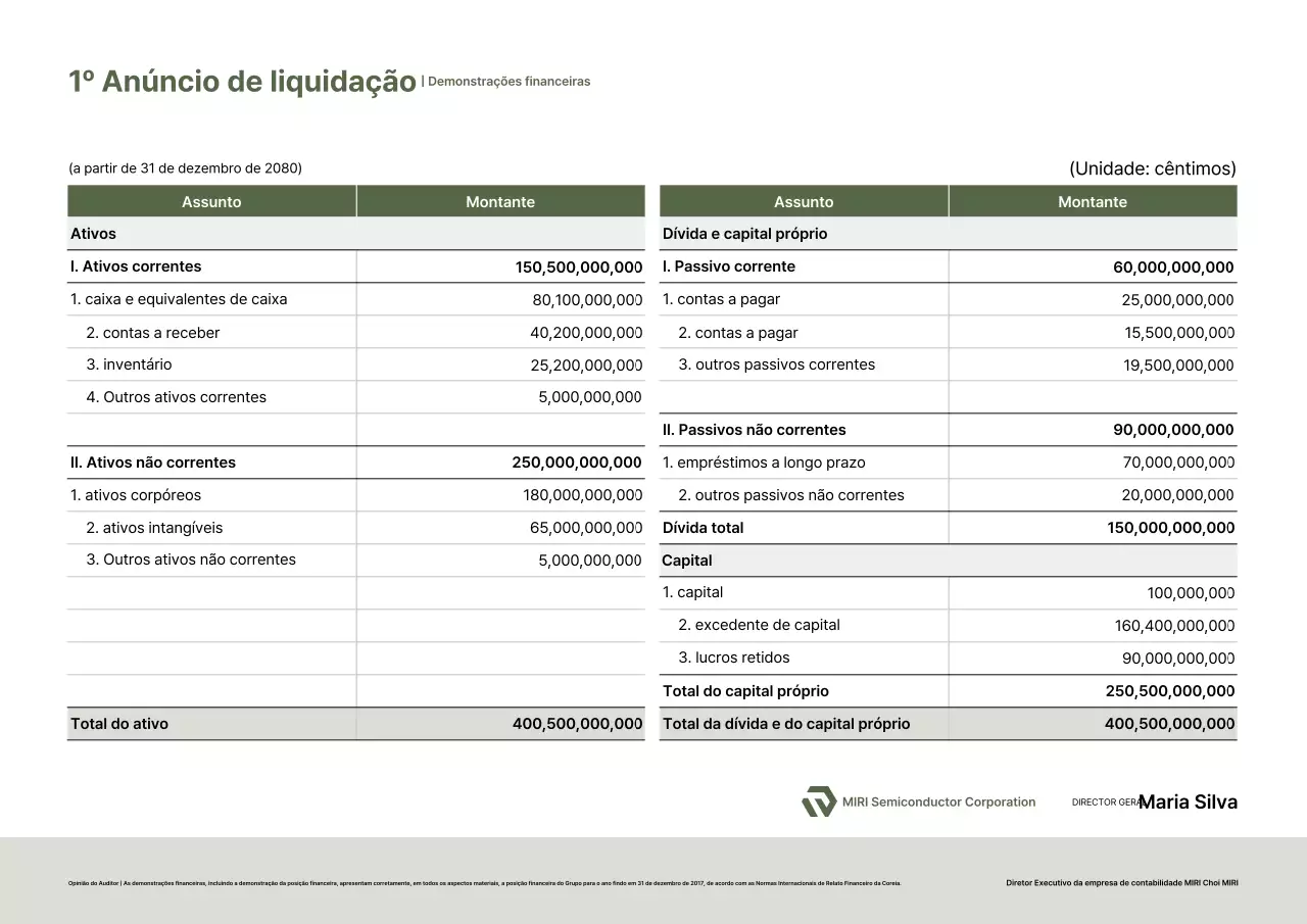 Explicação das Demonstrações Financeiras Básicas Verdes