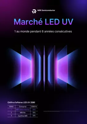 Publicité pour la technologie cybernétique Bora