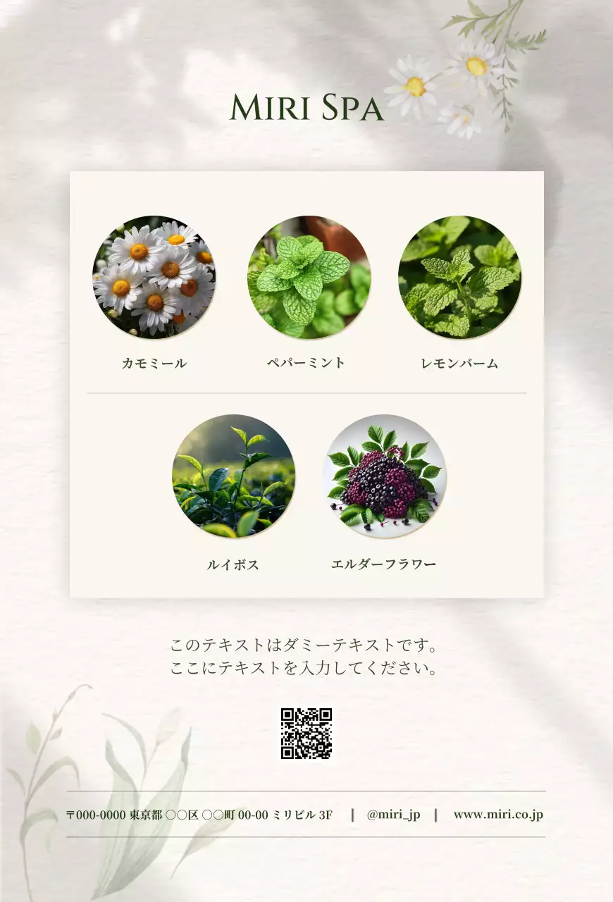 ベージュ 上品 ハーブティー プロフィール 商品紹介上品