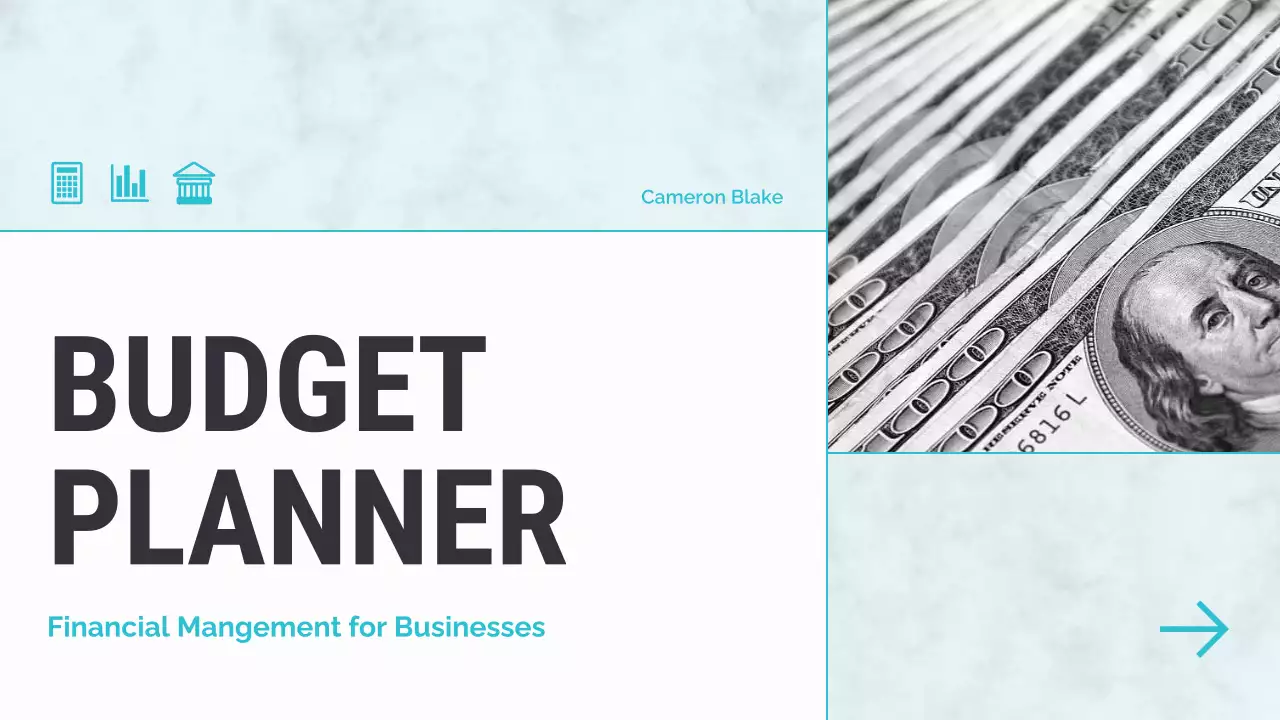 mint modern finance planner