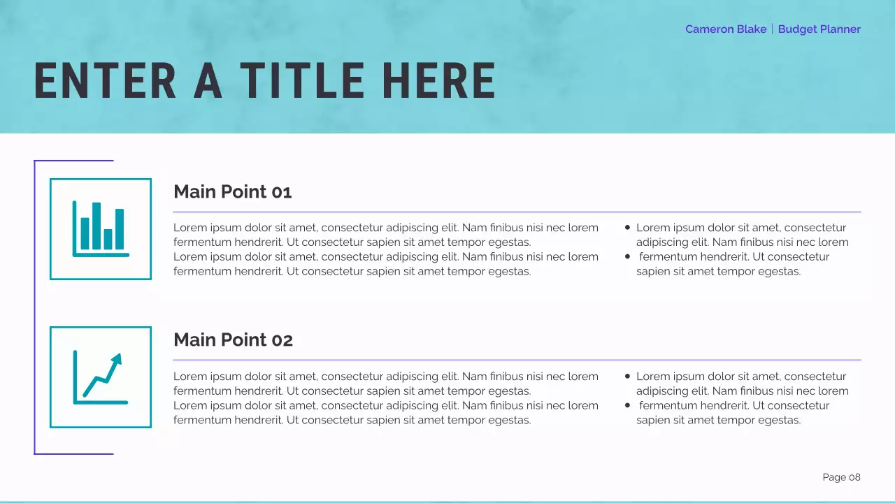 mint modern finance planner