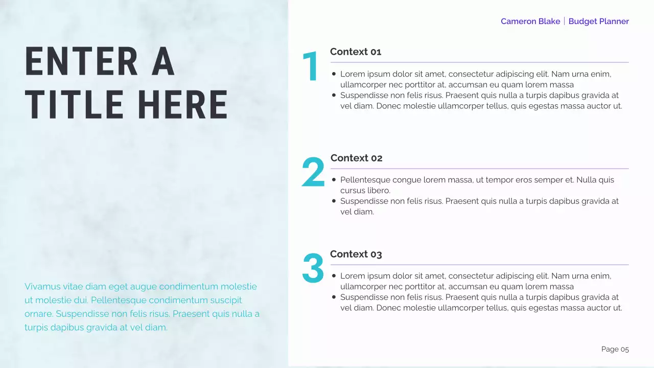 mint modern finance planner