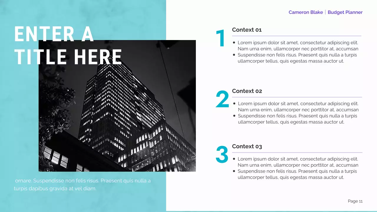 mint modern finance planner