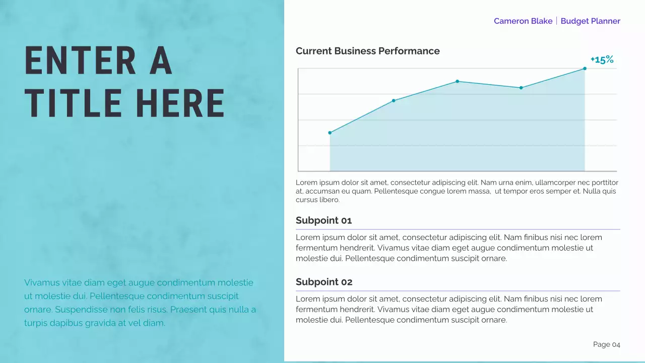 mint modern finance planner