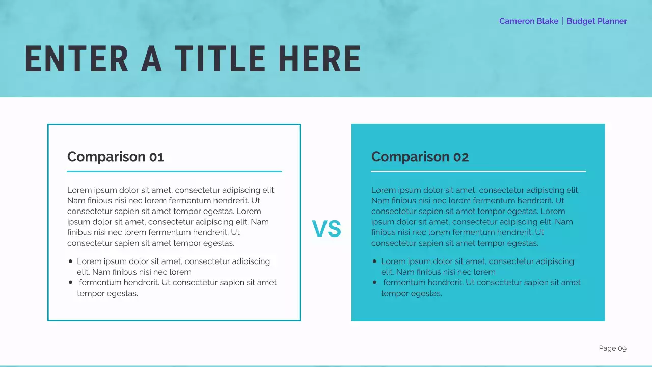 mint modern finance planner