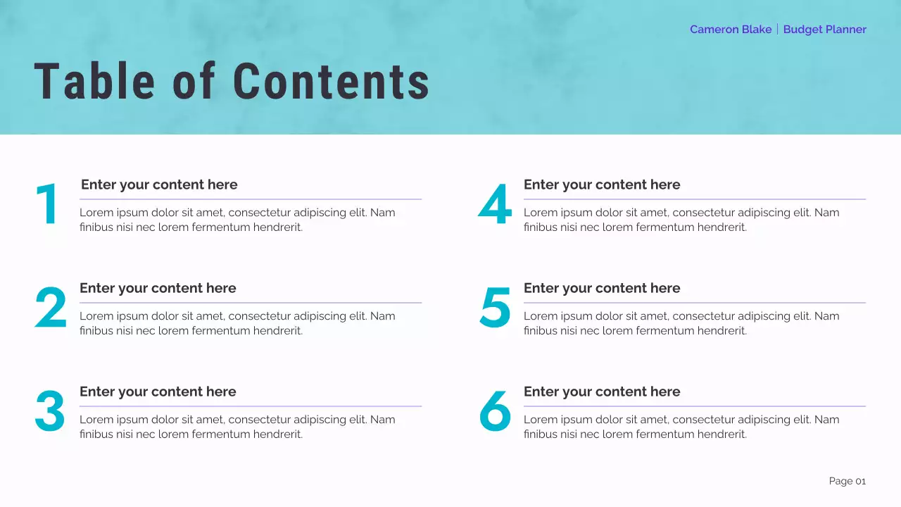 mint modern finance planner