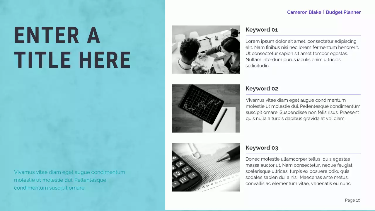 mint modern finance planner