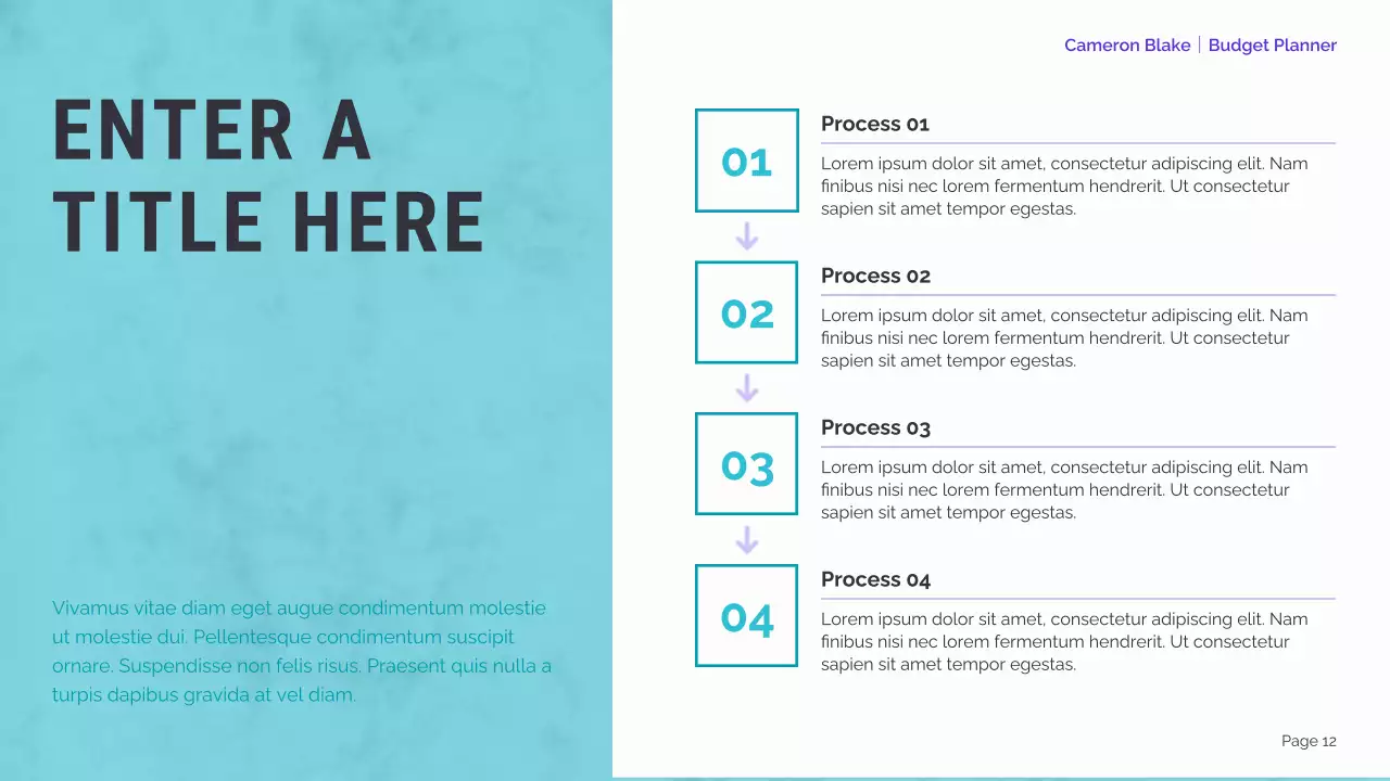 mint modern finance planner