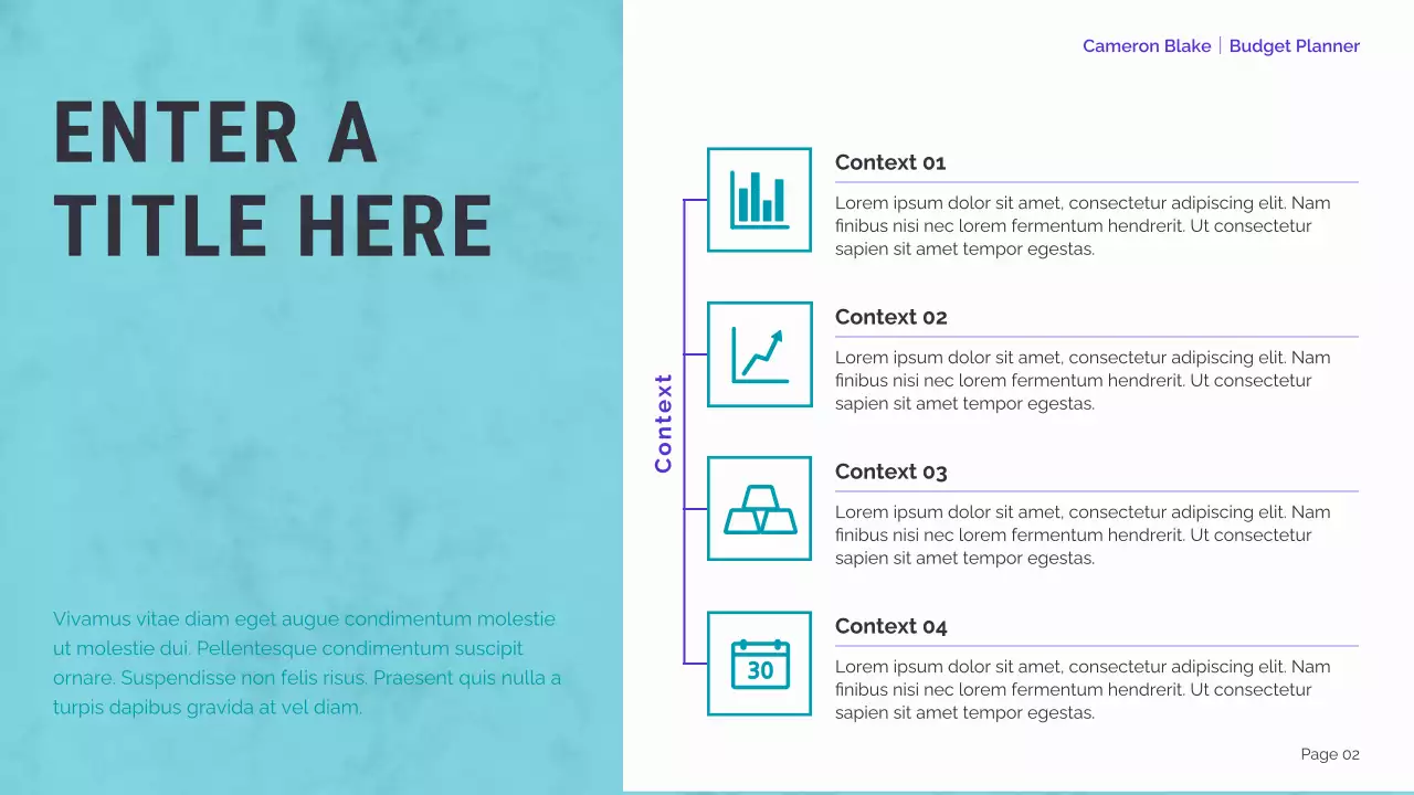 mint modern finance planner