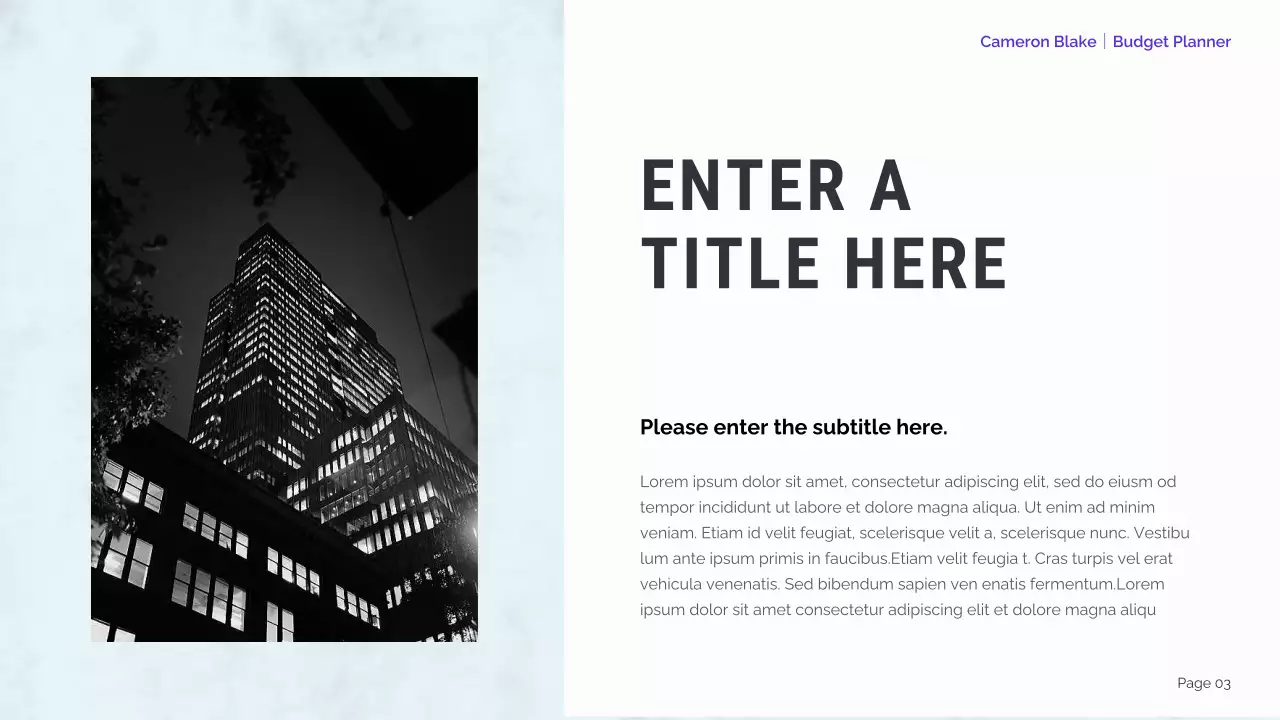 mint modern finance planner