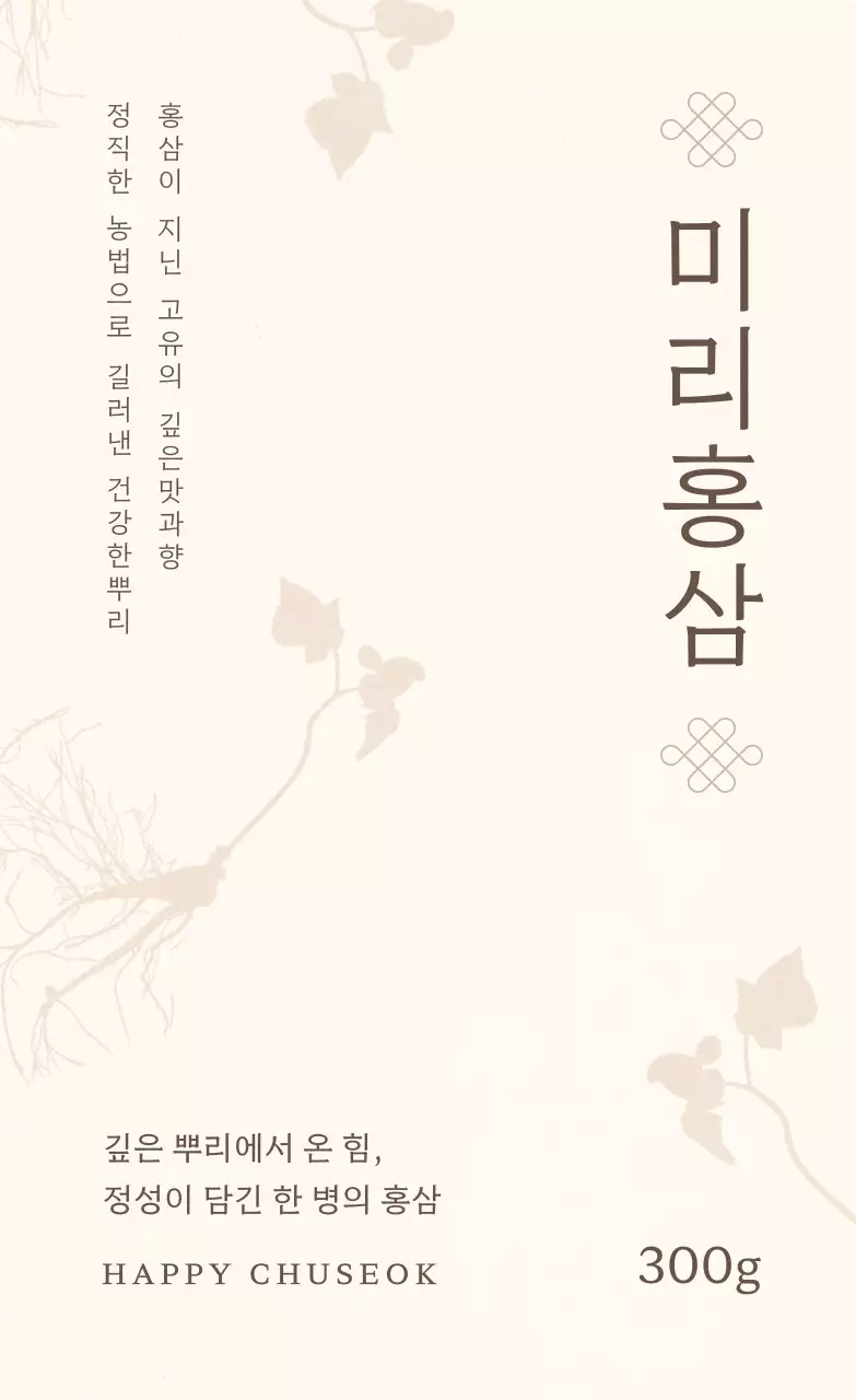 베이지 전통 홍삼 제품 소개